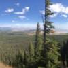 A short spin around the summit reveals this view north into the Zirkels. Flag trees indicate how windy things can get.