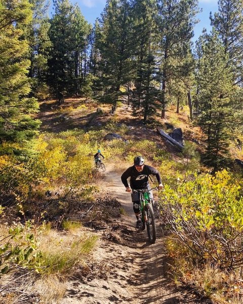 Still a bit loose and dry riding in early September but overall the trail is still in great shape.