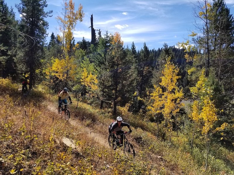 Great xc trail along the reservoir.  Good flow, not many punchy climbs.