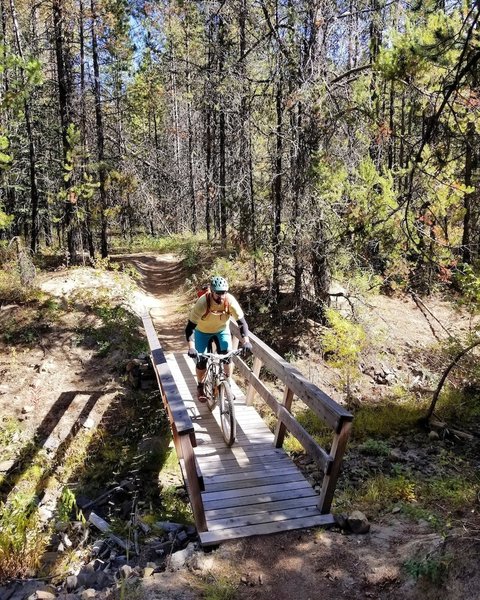 Fun bridge crossing at the north end of the trail.