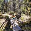 Fun bridge crossing at the north end of the trail.