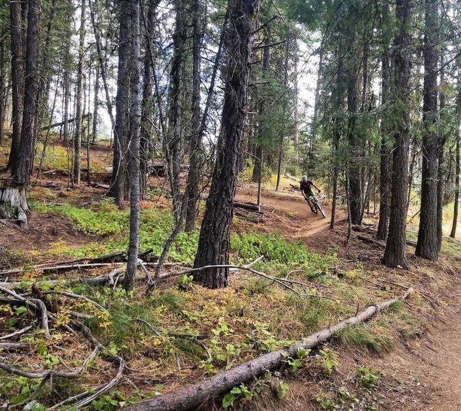 The Upper Drain at Bear Basin is a top notch DH flow trail.