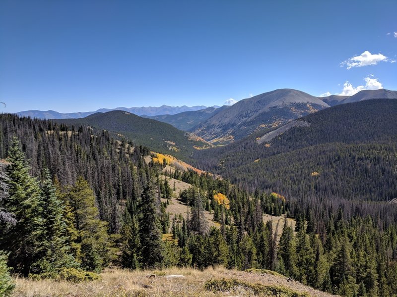 Looking into Silver Creek in the Fall