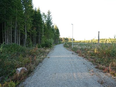 back from slitu
