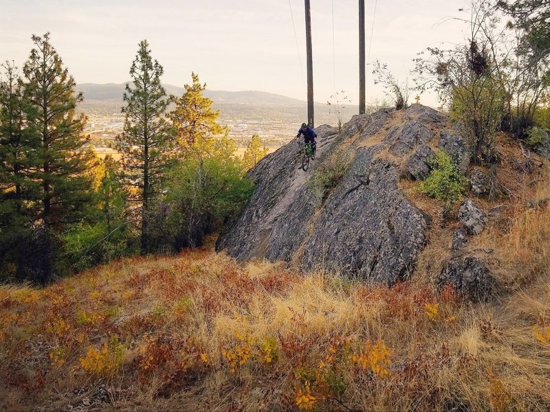 One of the many rock rollers on the Zipper.