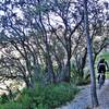 Up by the northern face of Puig Campana.