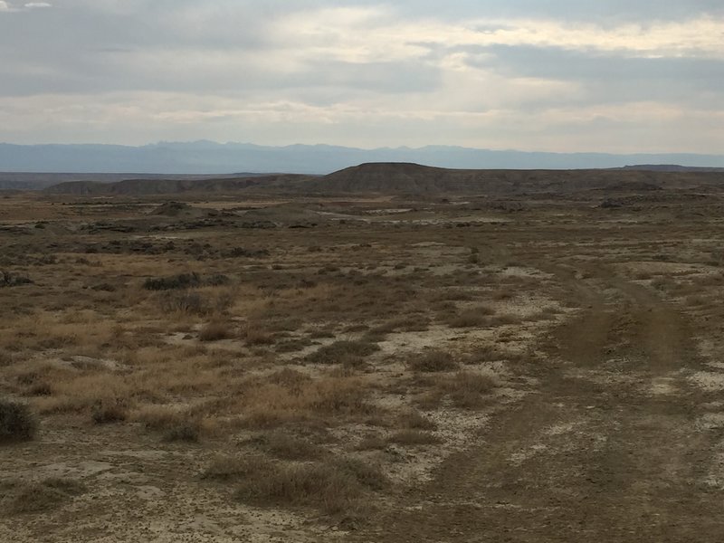 Beautiful view of BLM land and the Big Horn Mountains.