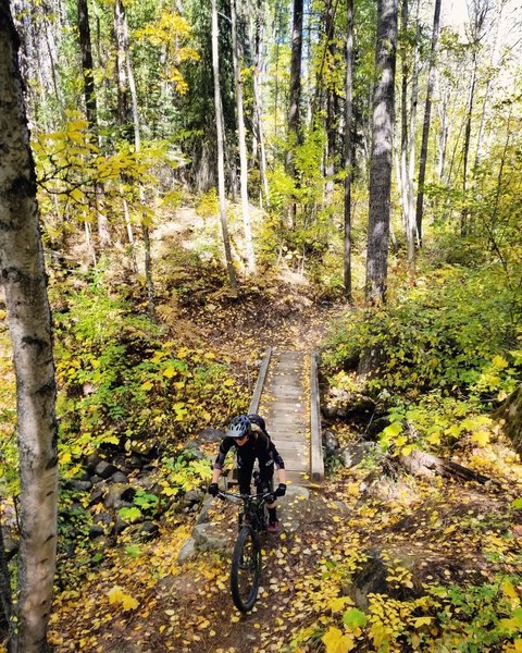 Bridge crossing on the Brush Lake Trail.