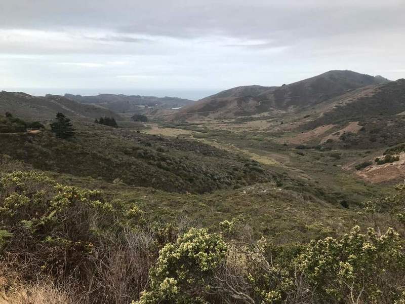 Going down Bobcat Trail (from Marincello Trail) back to Rodeo Valley Trail. Large trail, peaceful view of the valley.