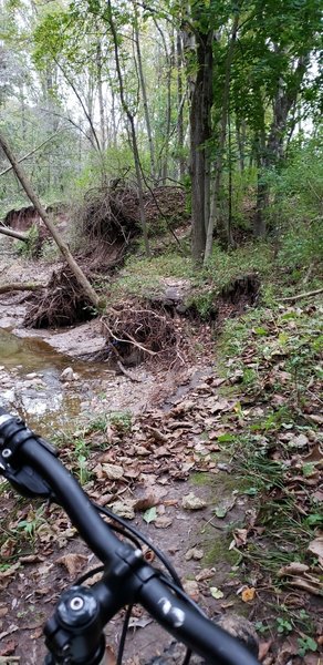 I understand the trail may have crossed the creek a few times previously but has now washed away on both sides leaving up to 30-ft drops on either side taking the tail with it BEWARE!