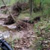 I understand the trail may have crossed the creek a few times previously but has now washed away on both sides leaving up to 30-ft drops on either side taking the tail with it BEWARE!