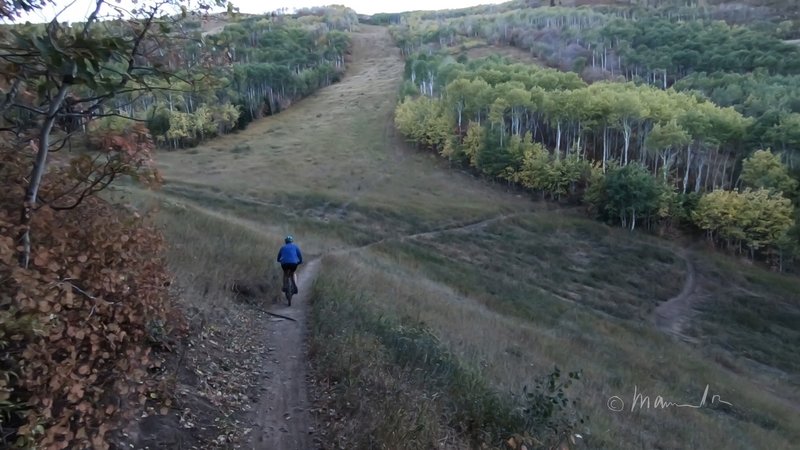 Jenni’s Trail. Easy climb for beginners, beautiful views for everyone!