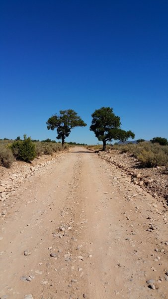 View from the road.