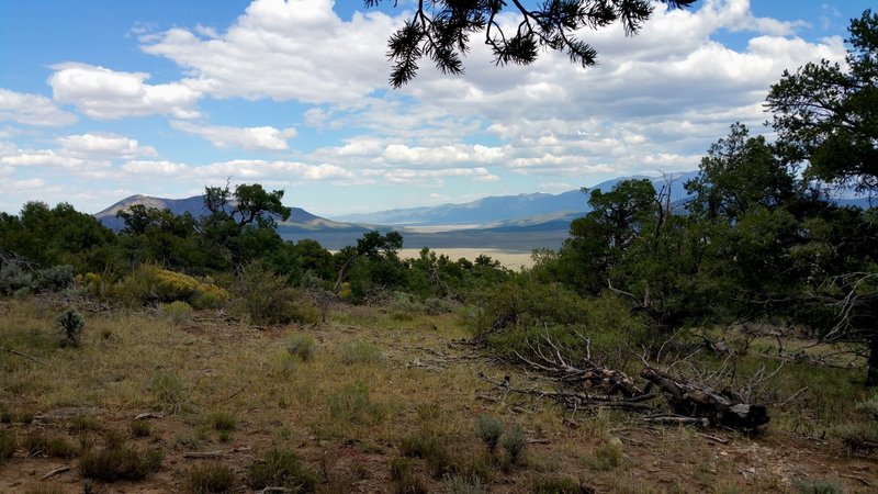 View from Cerro Montoso.