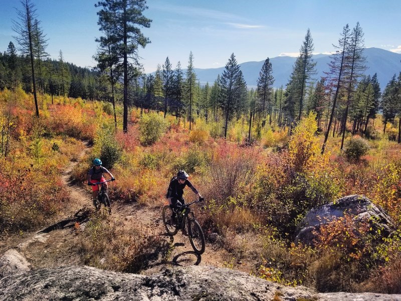 Climbing section of 377 with views of the Selkirk mountain range in the background.