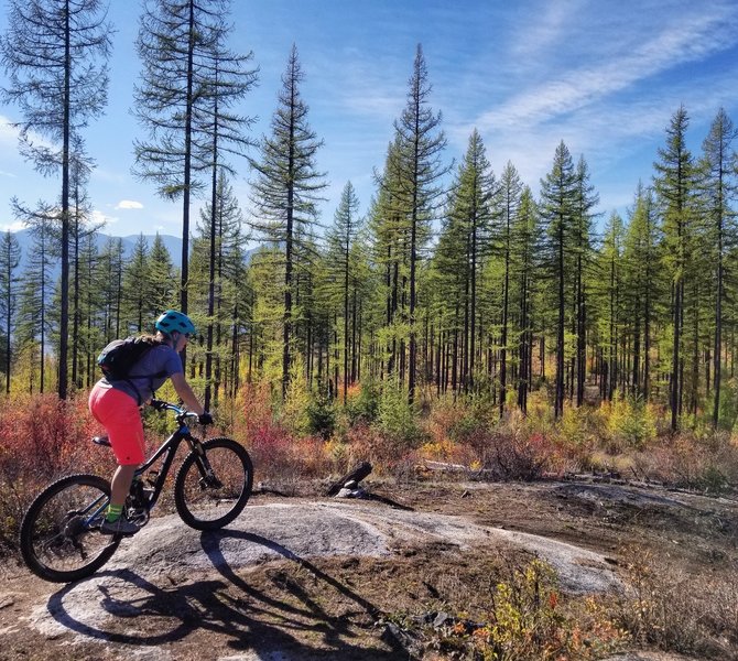 Granite section of trail.