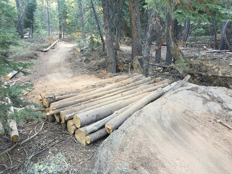 One of many gap jumps of various difficulty on the trail.