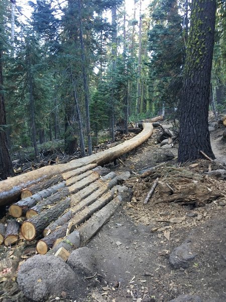 The Log Ride.