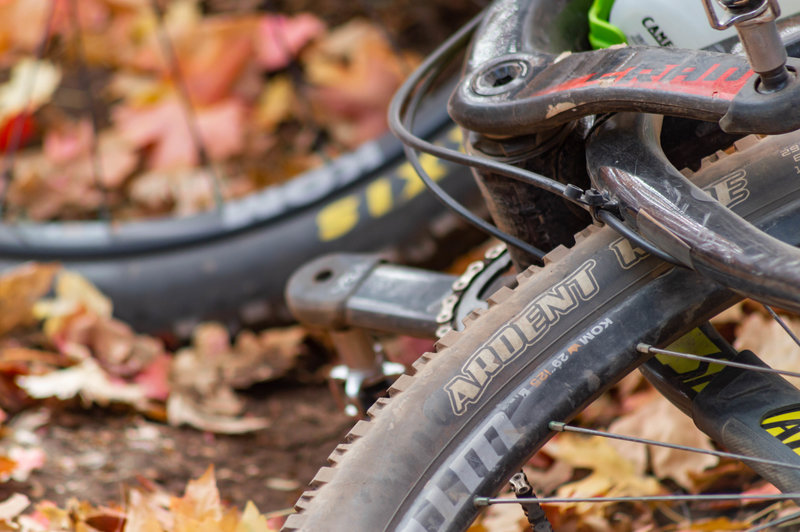 Riding in the fall colors on Sardine Peak, near Huntsville, Utah.