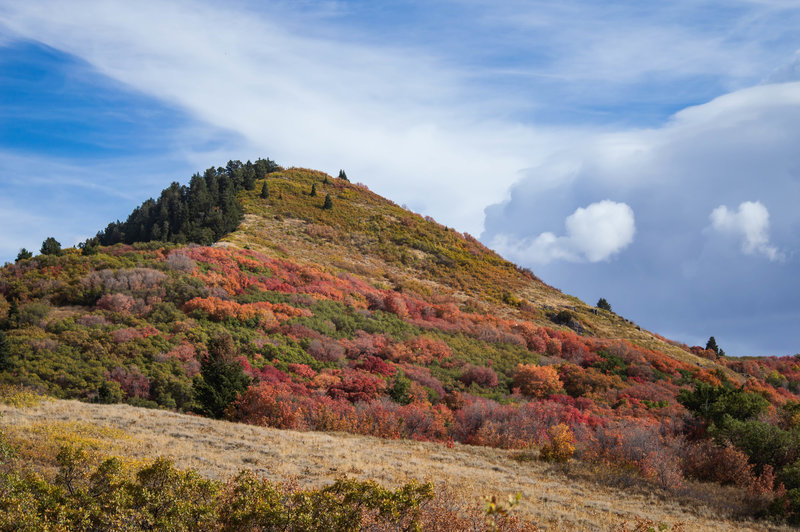 Sardine Peak, near Ogden Utah