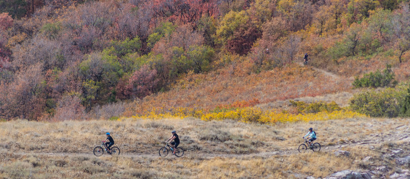 Riders making their way up Sardine Peak trail near Ogden, Utah.