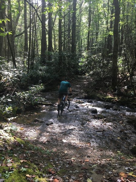 Shallow creek crossing with small/medium smooth rocks