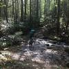 Shallow creek crossing with small/medium smooth rocks