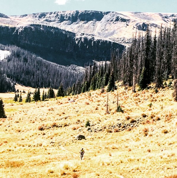 Headed down from snow mesa