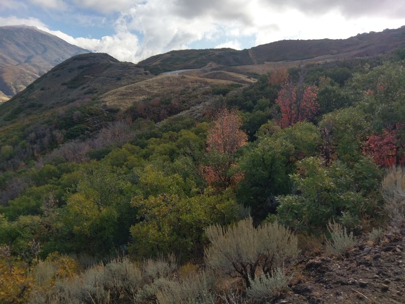 Looking up at Potato Hill from the Lexi and Ethan Trail