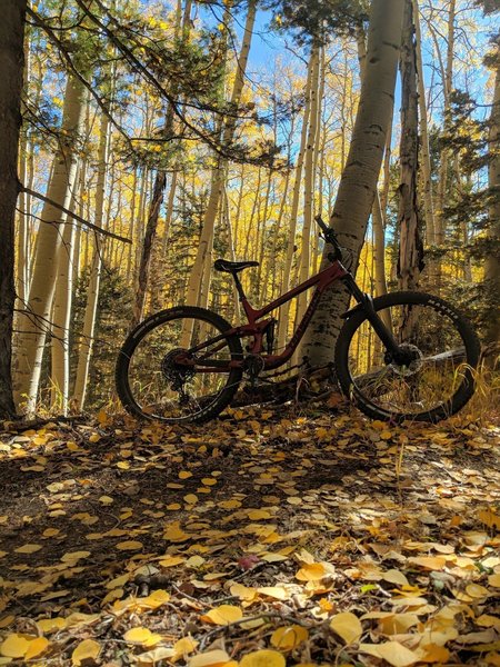 Autumn foliage brings incredible colours to accent this lovely trail.