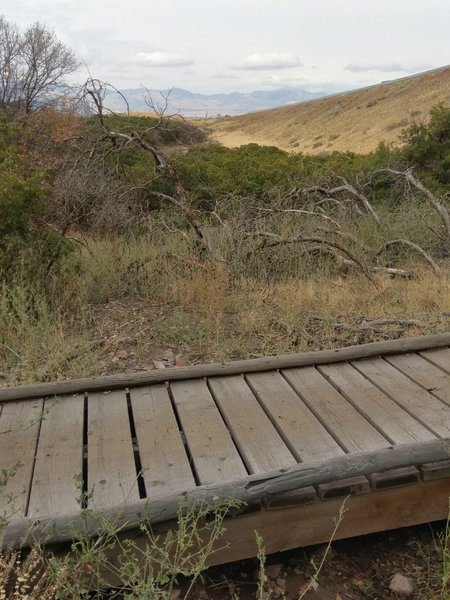 One of two small footbridges on Little Valley C Line trail