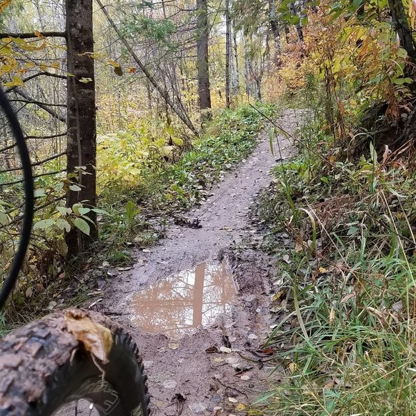 A day after it rained. This was the only puddle on the trail. Super fun scalloped trail. Fast and flowy. Easy to pump speed out of.