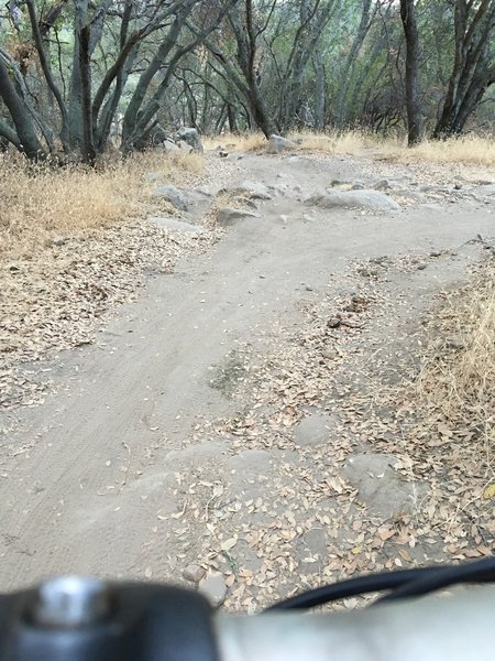 Lake Folsom trail