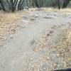 Lake Folsom trail