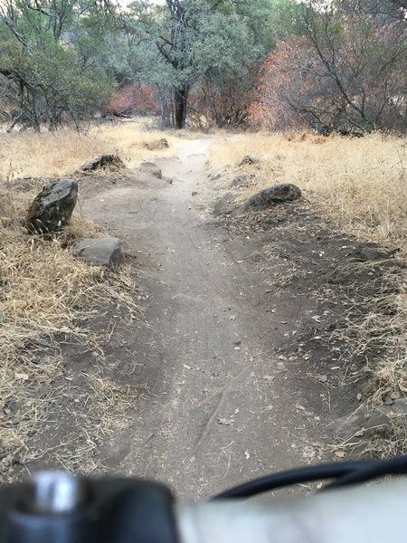 Lake Folsom trail