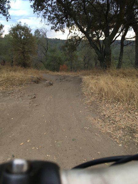 Lake Folsom trail