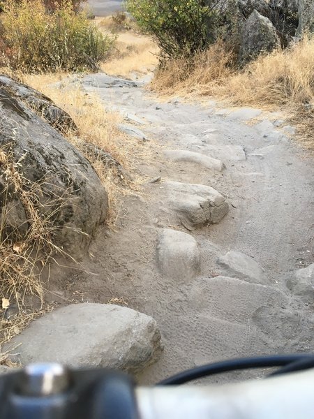 Lake Folsom trail