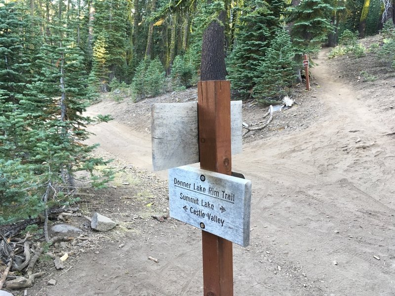 Donner Lake Rim Trail