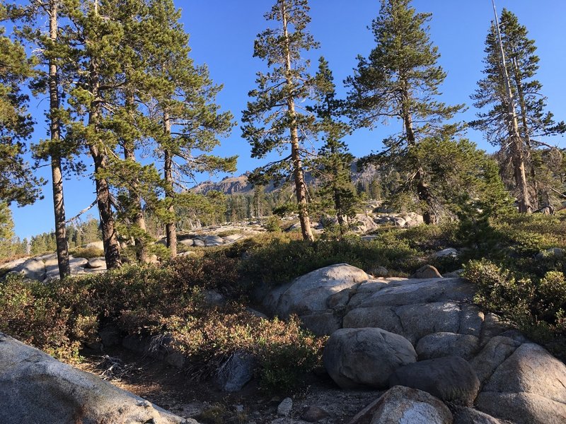 Donner Lake Rim Trail