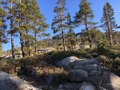 Donner Lake Rim Trail