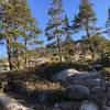 Donner Lake Rim Trail