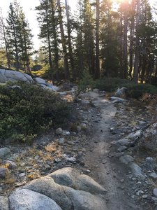 Donner Lake Rim Trail