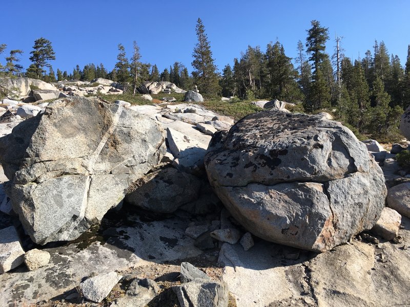 Donner Lake Rim Trail