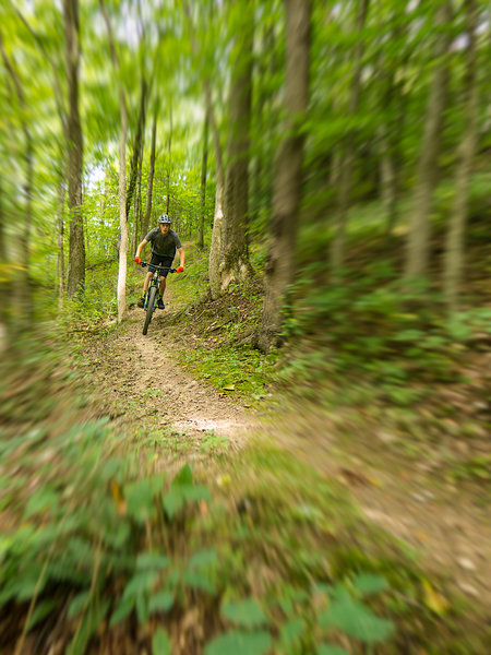 Flying through the woods