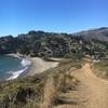 View of sunny Muir Beach