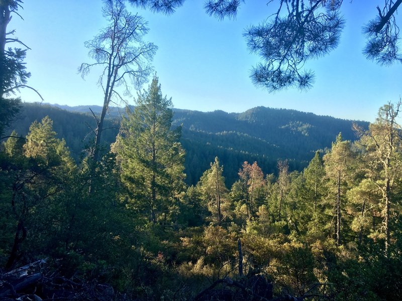 Ridge views from Gazos Creek Road