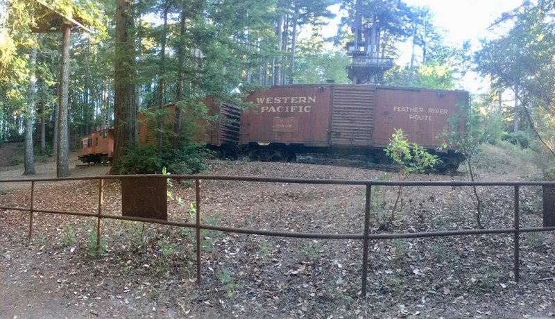 Rail cars in the middle of the park?