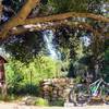 After a long ride, this oak-shaded drinking fountain has cool, refreshing mountain spring water on tap.