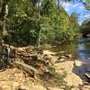 Great place for a break along Beargrass Creek.