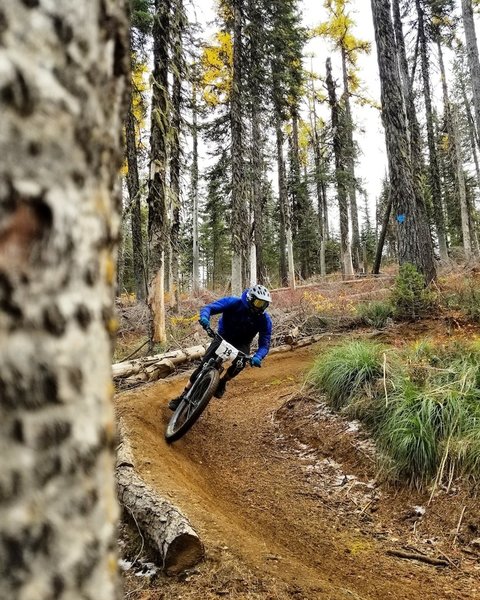 Tacky fall dirt up at Mt Spokane.